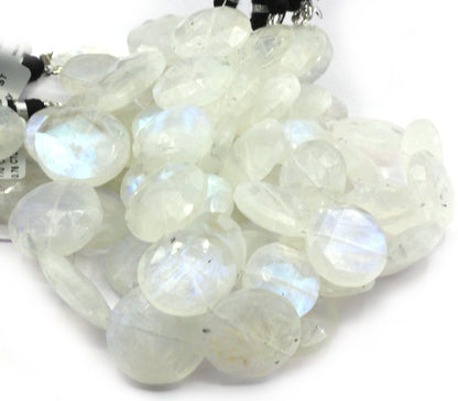Moonstone Faceted Coin Beads