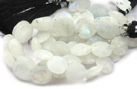 Rainbow Moonstone Faceted Coin Beads