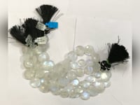 Rainbow Moonstone Faceted Coin Beads